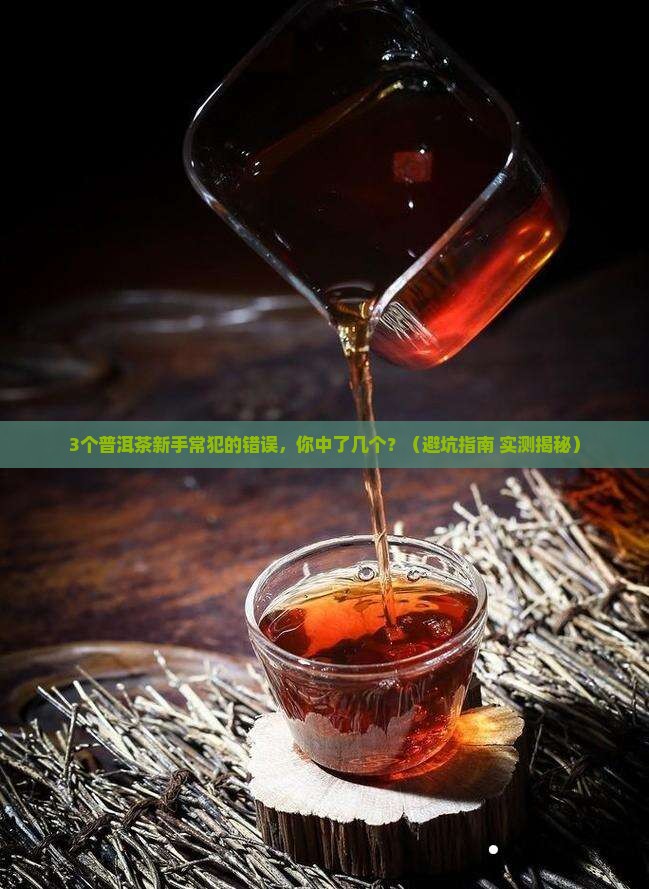 普洱茶官方账号