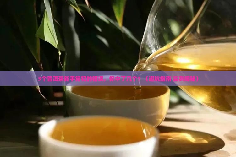 普洱茶官方账号