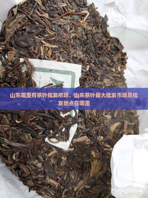 山东哪里有茶叶批发市场