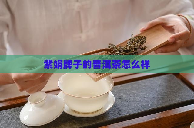 紫娟牌子的普洱茶怎么样