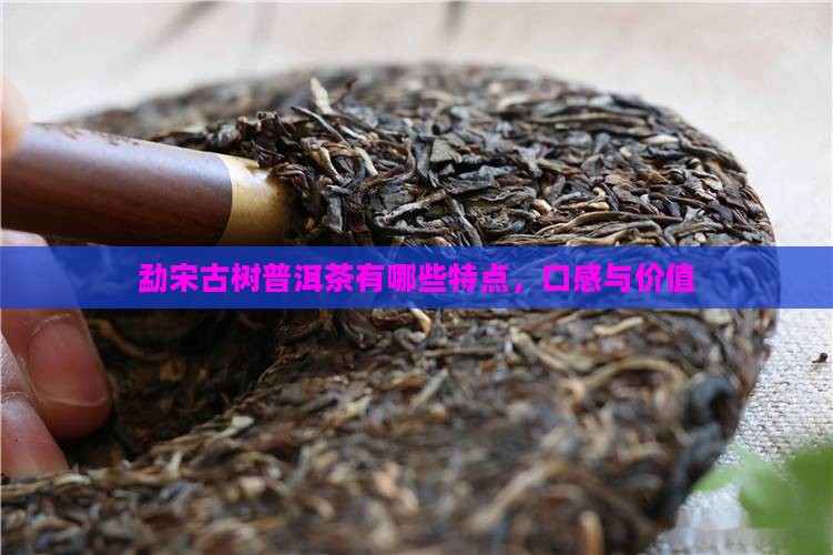 勐宋古树普洱茶有哪些特点