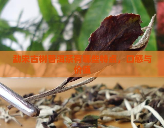勐宋古树普洱茶有哪些特点