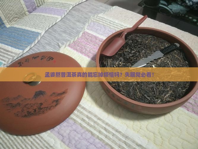 孟婆熬普洱茶怎么样