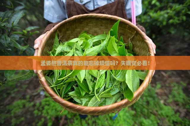 孟婆熬普洱茶怎么样