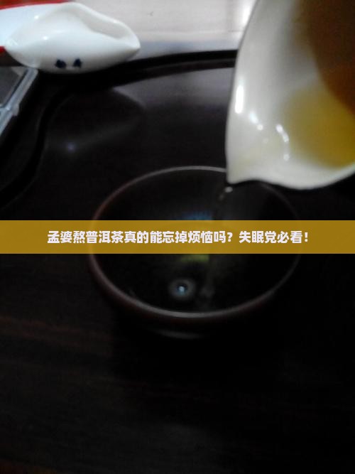 孟婆熬普洱茶怎么样