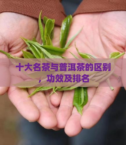 十大名茶与普洱茶的区别