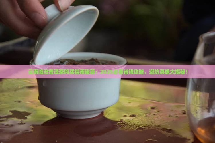 云南临沧普洱茶购买购商