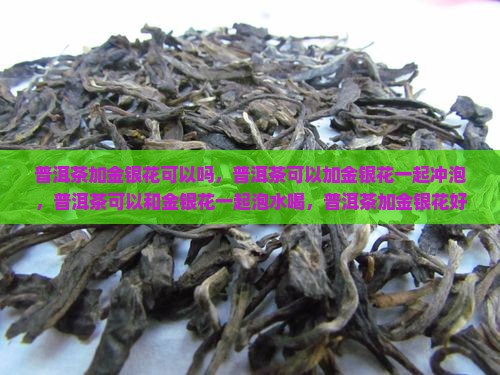 普洱茶加金银花可以吗