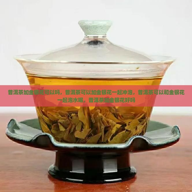 普洱茶加金银花可以吗