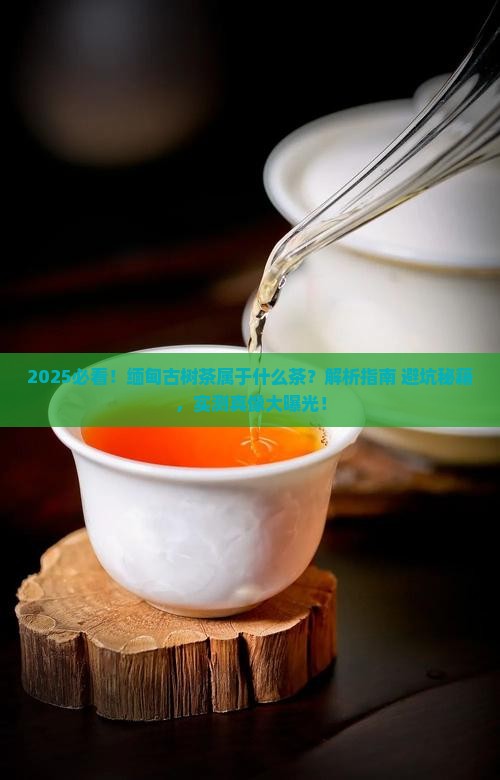 缅甸古树茶属于什么茶