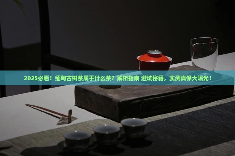 缅甸古树茶属于什么茶