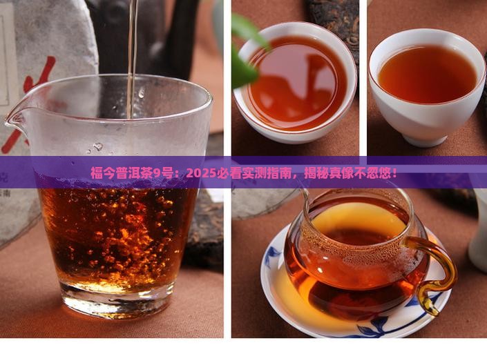 福今普洱茶9号