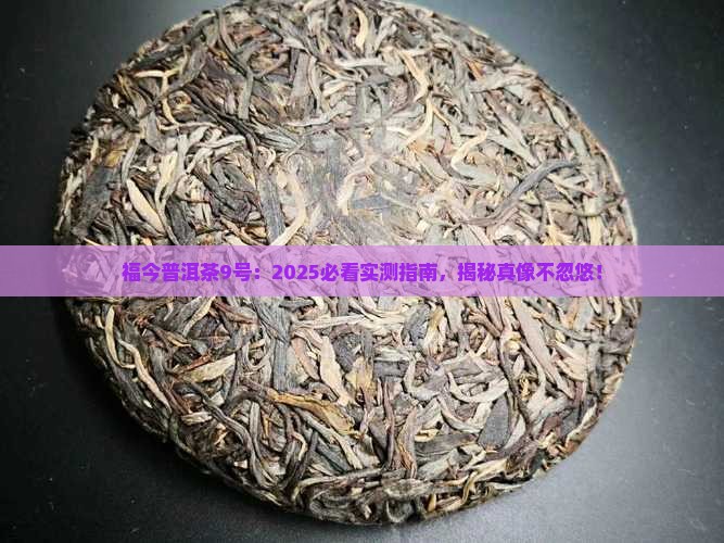 福今普洱茶9号