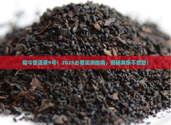 福今普洱茶9号
