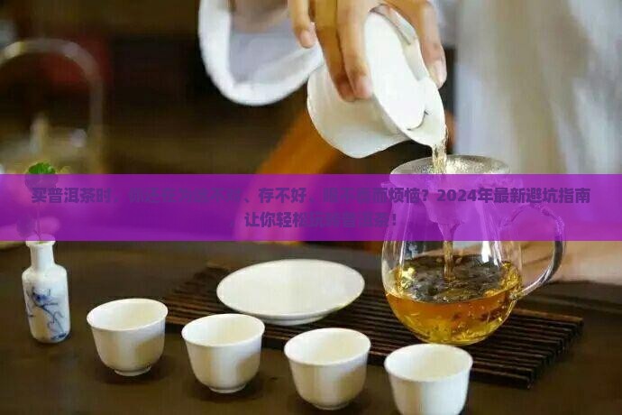 买普洱茶常见问题