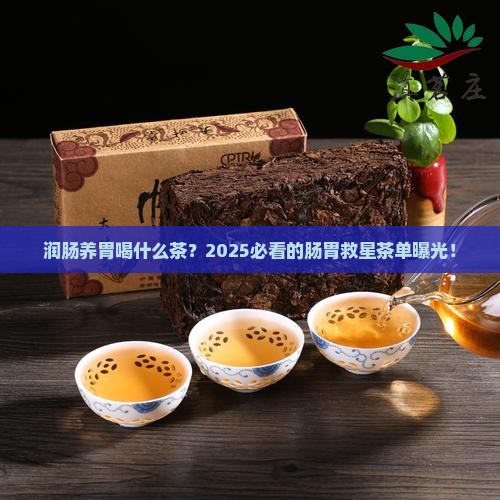 润肠养胃喝什么茶