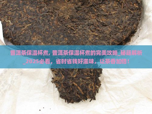 普洱茶保温杯煮