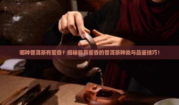 哪种普洱茶有蜜香
