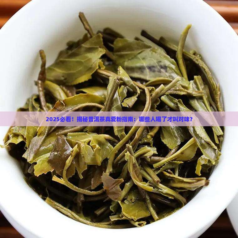 什么人适合普洱茶喝了