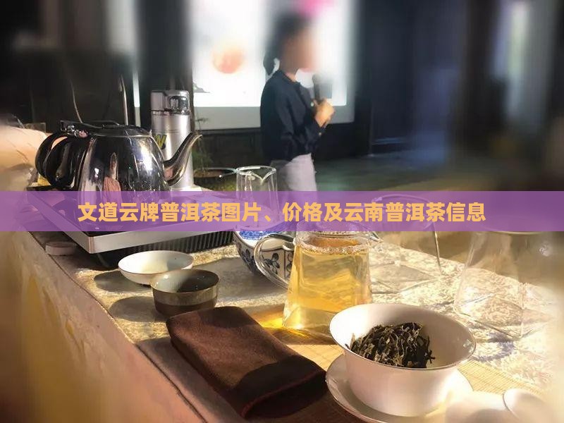 文道云牌普洱茶