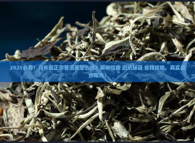 丹东最正宗的普洱茶