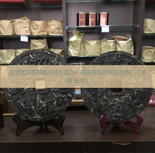 关于临沧普洱茶的介绍资料