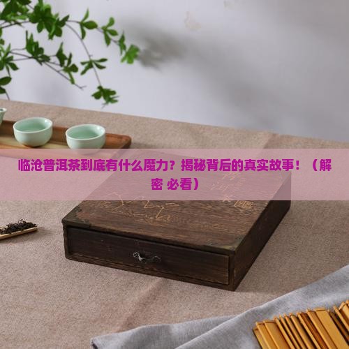 关于临沧普洱茶的介绍资料