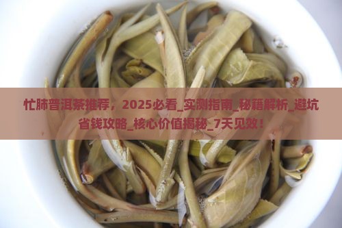 忙肺普洱茶推荐