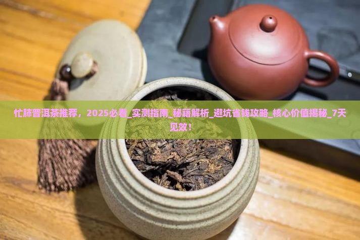 忙肺普洱茶推荐