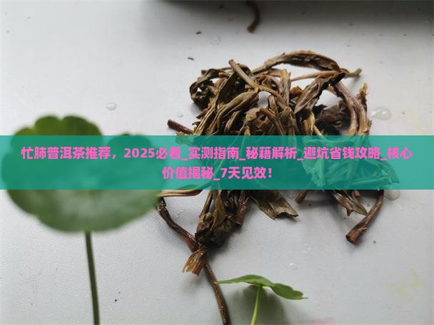 忙肺普洱茶推荐
