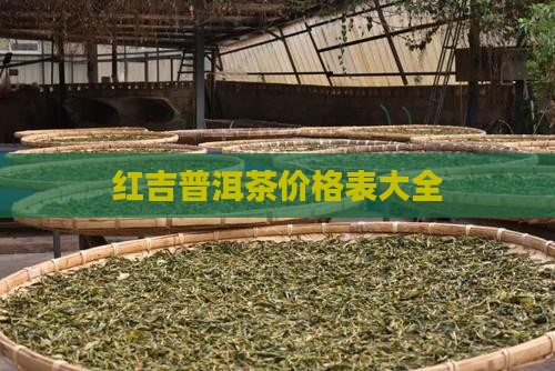 红吉普洱茶价格表