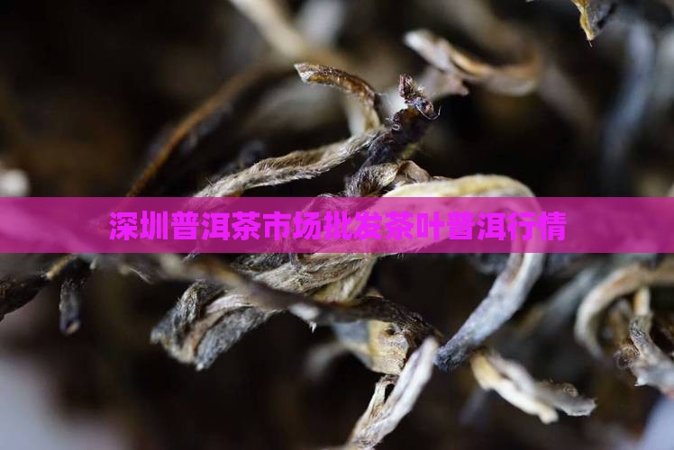 深圳普洱茶批发市场