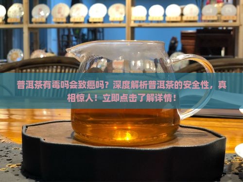 普洱茶有毒吗会致癌吗