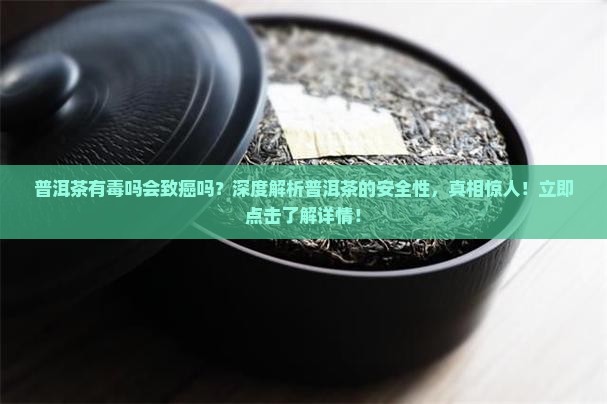 普洱茶有毒吗会致癌吗