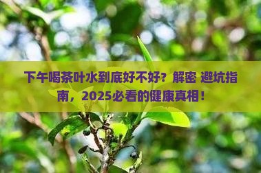 下午喝茶叶水好不好