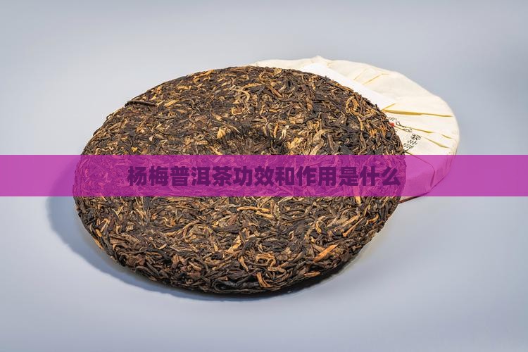 杨梅普洱茶功效和作用是什么