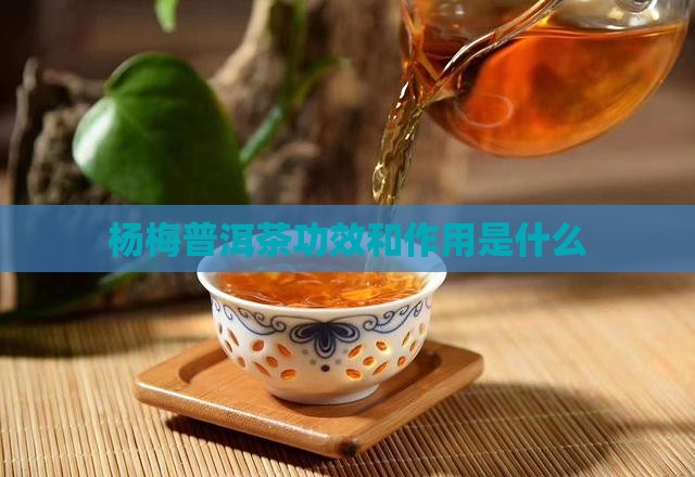 杨梅普洱茶功效和作用是什么