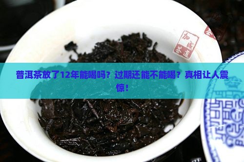 普洱茶放了12年能喝吗