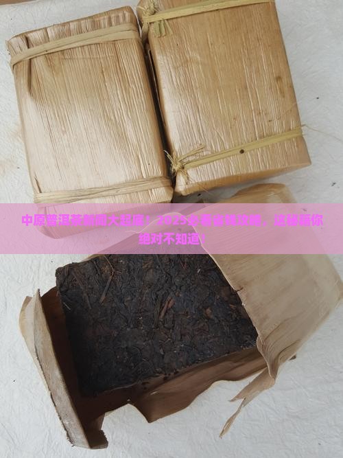 中原普洱茶新闻