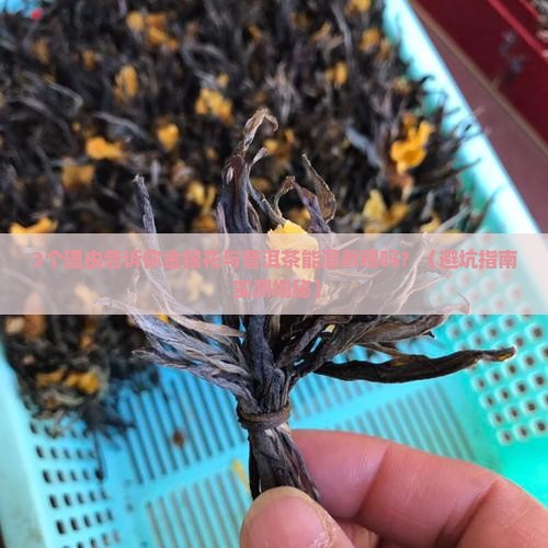 金银花与普洱茶叶可混合泡吗