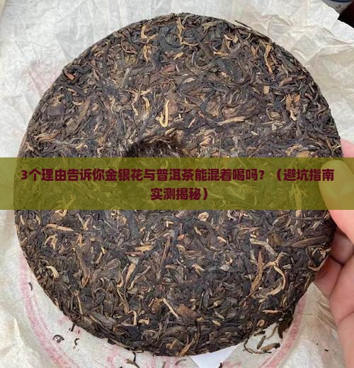 金银花与普洱茶叶可混合泡吗