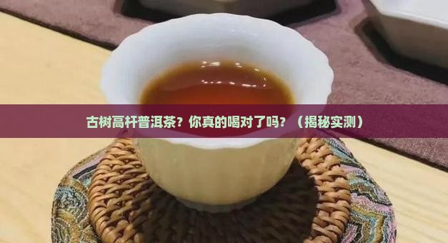 古树高杆普洱茶