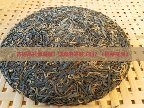 古树高杆普洱茶