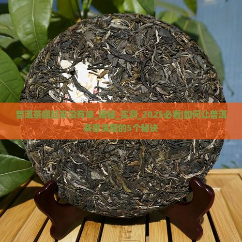 普洱茶闻起来没有味
