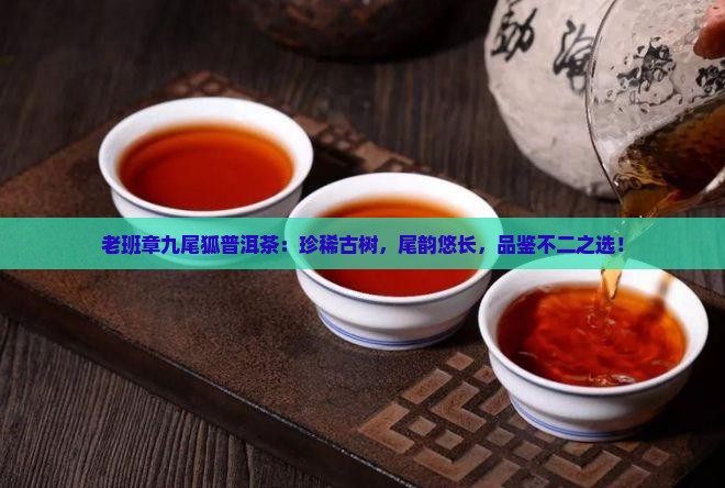 老班章九尾狐普洱茶