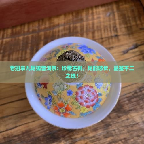 老班章九尾狐普洱茶