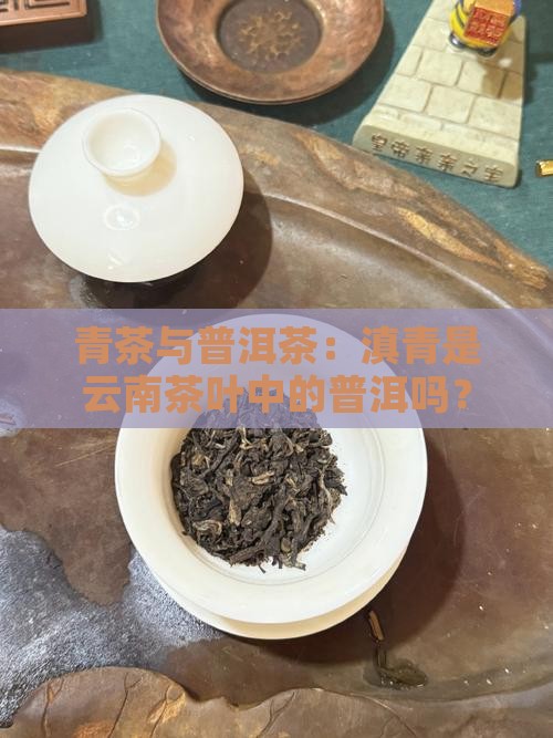 滇青茶是普洱茶吗