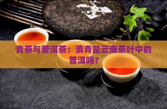 滇青茶是普洱茶吗
