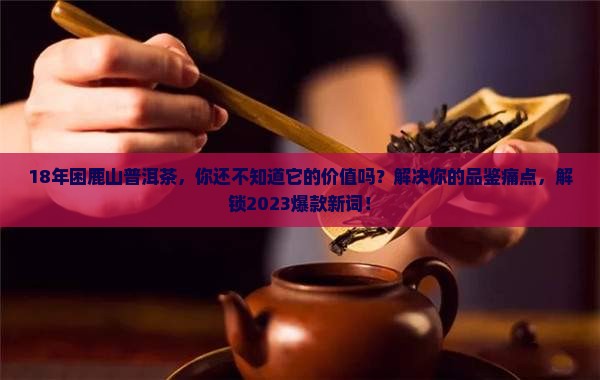18年困鹿山普洱茶