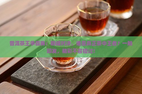 普洱茶王争霸赛